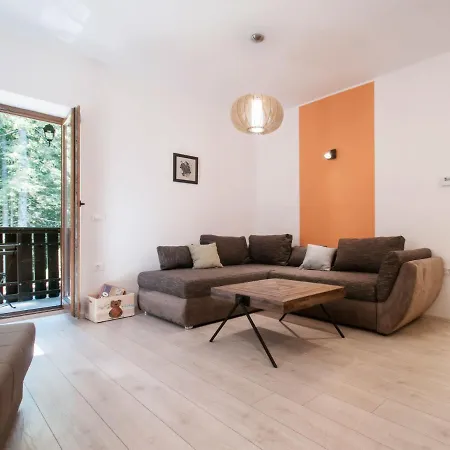 Appartamento Apartma Medved *