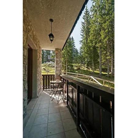 Appartamento Apartma Medved *